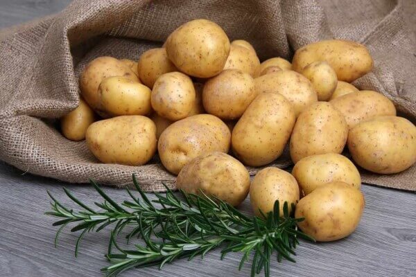 Aardappelen NIEUWE OOGST  (redelijk vastkokend)